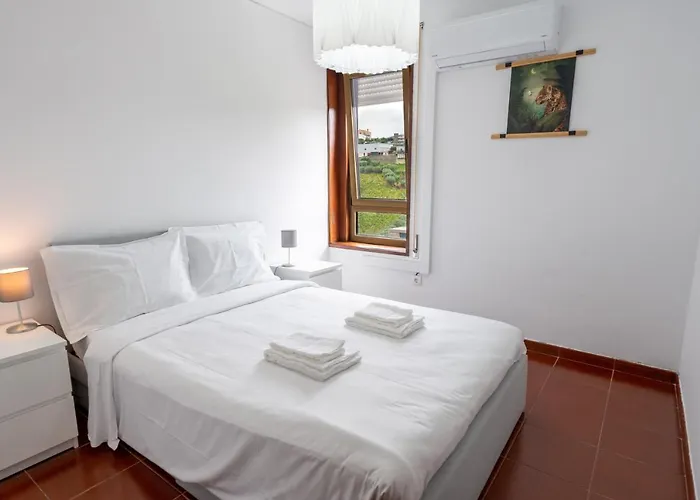 T3 - D'ouro A Vista 페소다레과